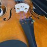 viola Image 6