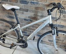 ladies bike( can deliver)