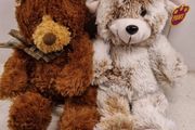 Gund and Paws Soft Plushy Teddys