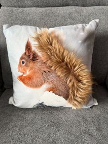 3D Cushion