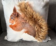 3D Cushion