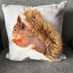 3D Cushion