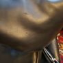 biker jacket kids Image 8