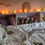 Triple Bunk Image 2