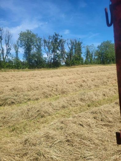 Square bales hay