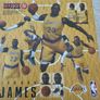 LEBRON JAMES Collectable figure Image 2