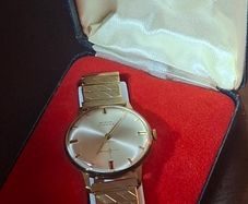 Gold plated Nisus 17 Jewel