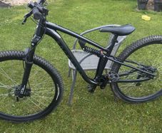 Mountain bike dual shock