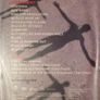 Muse [2005] Absolution Tour [Music DVD] Image 2