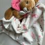 Baby Comforter Image 2