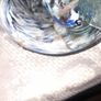 Rare 1960s Handmade Murano Style End of Day Splatter Glass Fish Ashtray Vase Image 4