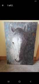 Horse picture