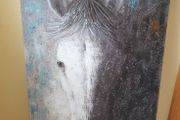 Horse picture