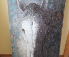 Horse picture