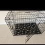 Dog crate Image 3