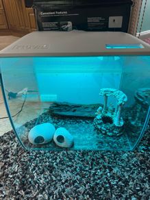 Fish tank Fluval