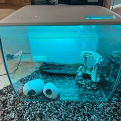 Fish tank Fluval