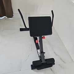 Back extension