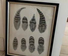 Helen Turkington Black Framed Picture
