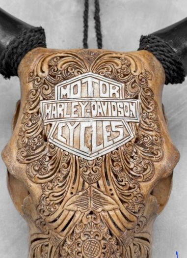Harley skull