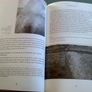 An antiquarian craze Life times and work in archaeology of Patrick Lyons RIC 1861-1954 Image 7
