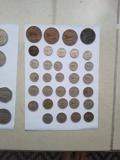 Irish coin collection