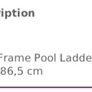 Pool Ladder Image 2