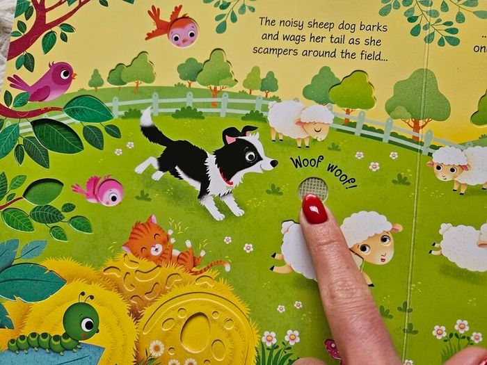 Usborne Farm Sounds by Sam Taplin