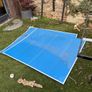 table Tennis Image 2