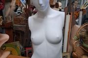 Female Torso Mannequin