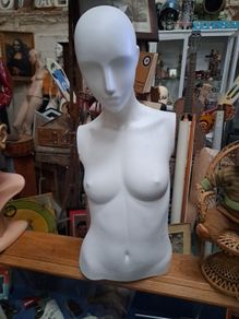 Female Torso Mannequin