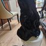 fish tank wood Image 10