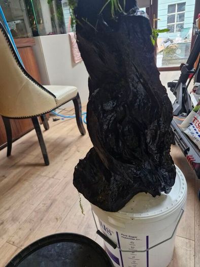 fish tank wood