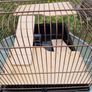Hamster Cage Image 2