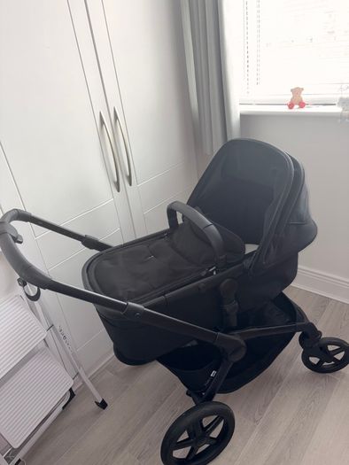 Black bugaboo renew