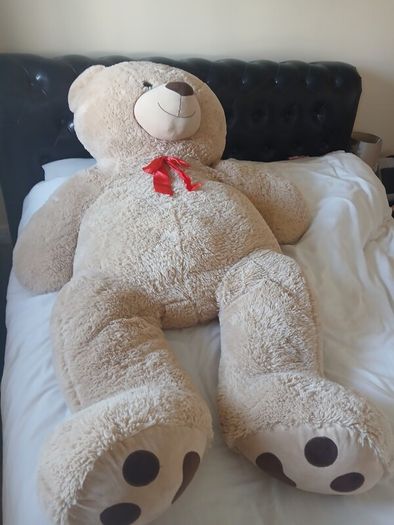 Billy Bear