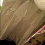 Bhs Ivory floral midi dress size UK16 EU44 Postage included Image 4