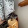 Triple Bunk Beds Image 5