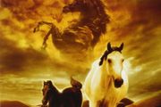 Feature Films - DVD Titles Beginning With The Letter X, Y or Z (Various Genres)