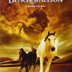 Feature Films - DVD Titles Beginning With The Letter X, Y or Z (Various Genres)