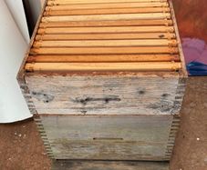 A commercial wooden bee hive