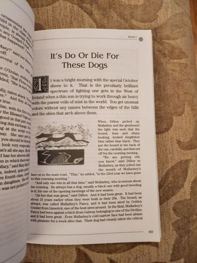 Cormac's Corner. A Collection Of His Classic Stories From The West Of Ireland. By Cormac Macconnell. First Edition Paperback In Good Condition.