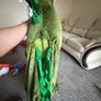dinosaur costume Image 2