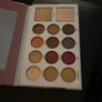 morphe x manny mua pallet Image 3