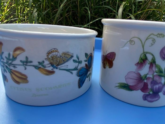 Portmeirion pots