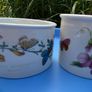 Portmeirion pots Image 4