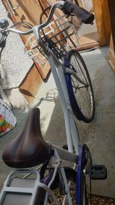 lady bike