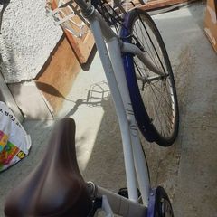 lady bike