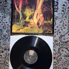 Echo And The Bunnymen: Crocodiles LP