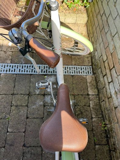 Raleigh Capri Ladies Bicycle